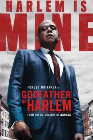 مسلسل Godfather of Harlem الموسم الأول مترجم كامل